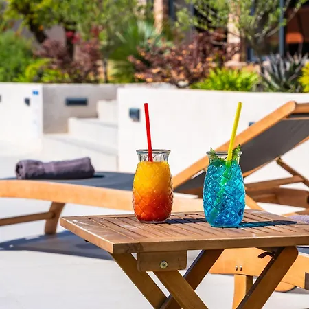 Oasis فيلة